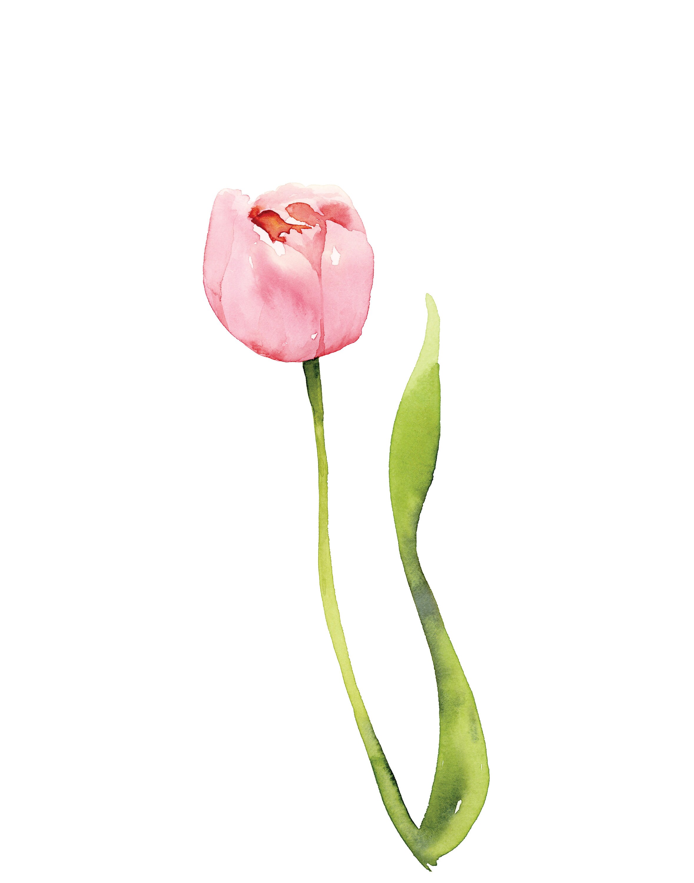 Pink Tulip Watercolor Art Print Spring Printable Wall Art - Etsy