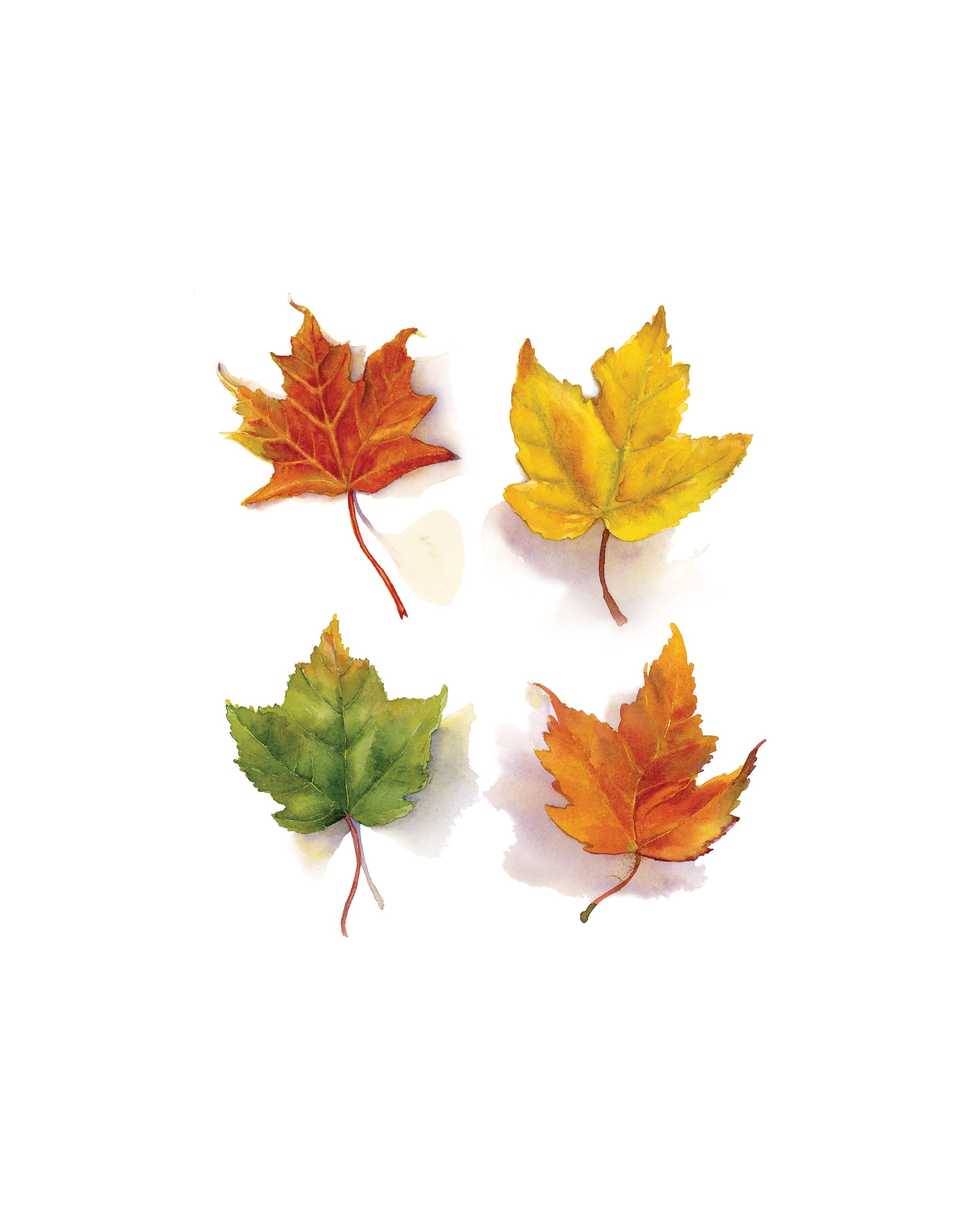 Set of 4 Fall Leaves Wall Art Print Autumn Leaves Printable - Etsy