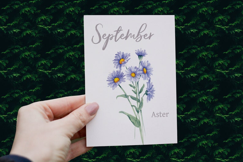 September Birthday Card, Birth Month Flower Greeting Card, Aster Flower ...