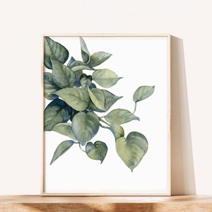 May include: A watercolor painting of a leafy green plant with a white background. The plant is in a simple wooden frame.