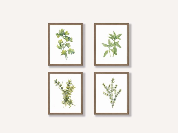 Set of 4 Herb Prints Printable Wall Art for Kitchen - Etsy