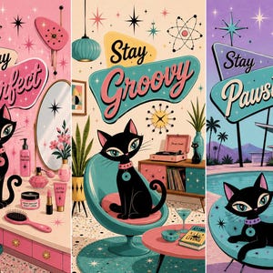 Könnte beinhalten: Retro-Illustration in drei Panels mit schwarzen Katzen. Jedes Panel hat einen anderen Hintergrund und Text: "Stay Purrfect", "Stay Groovy" und "Stay Pawsitive". Die Katzen tragen Halsbänder und befinden sich in Szenen der Moderne der Mitte des Jahrhunderts.
