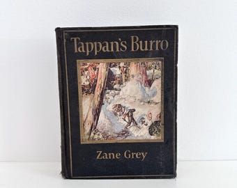 Vtg TAPPAN'S BURRO By Zane Grey FIRST Edition 1923 Hardcover Harper & Brothers