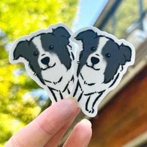 Border Collie Vinyl Sticker