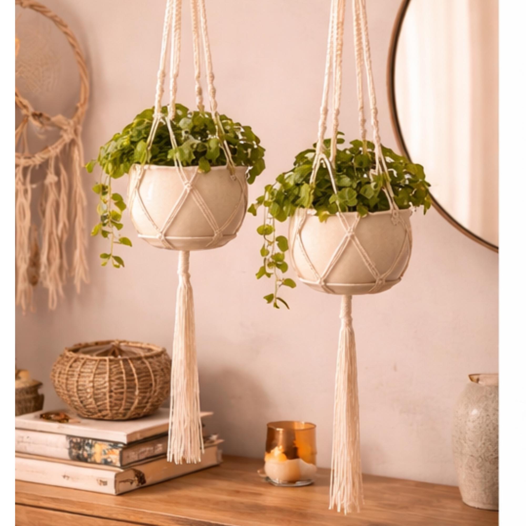 Pezzi Gancio Per Piante Da Parete, Gancio Per Piante, Gancio Per Piante Da Parete Gancio Per Piante Gancio Per Piante Da Parete Con 6 Viti Per Giardino Prato Luce Vaso Di Fiori 95903127