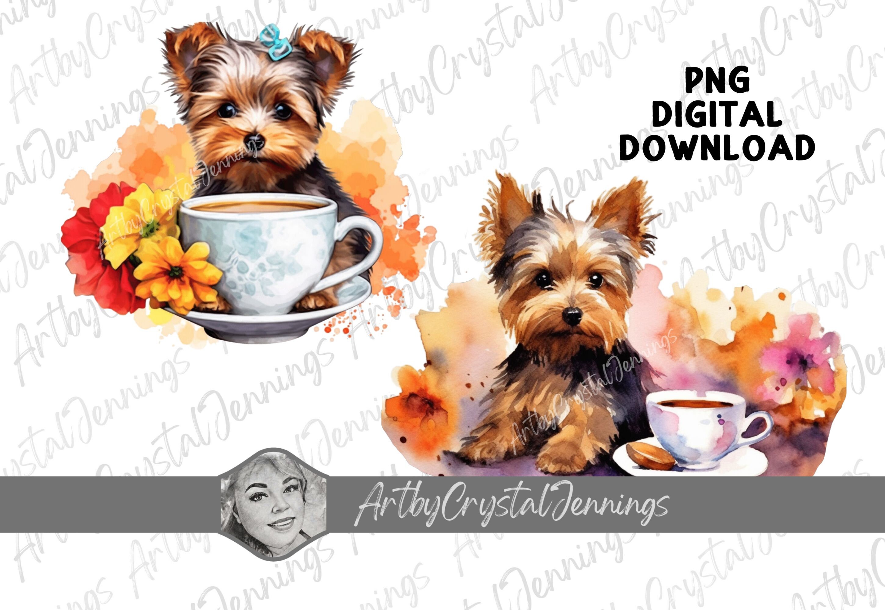 Vendita Yorkshire da Privato a Torino yorkshire terrier cucciolo taglia
