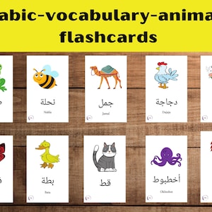 30 Arabic Vocabulary Animals Flashcards, Prononciation arabe, Arabic Flashcards Animals, PDF imprimable, Téléchargement instantané