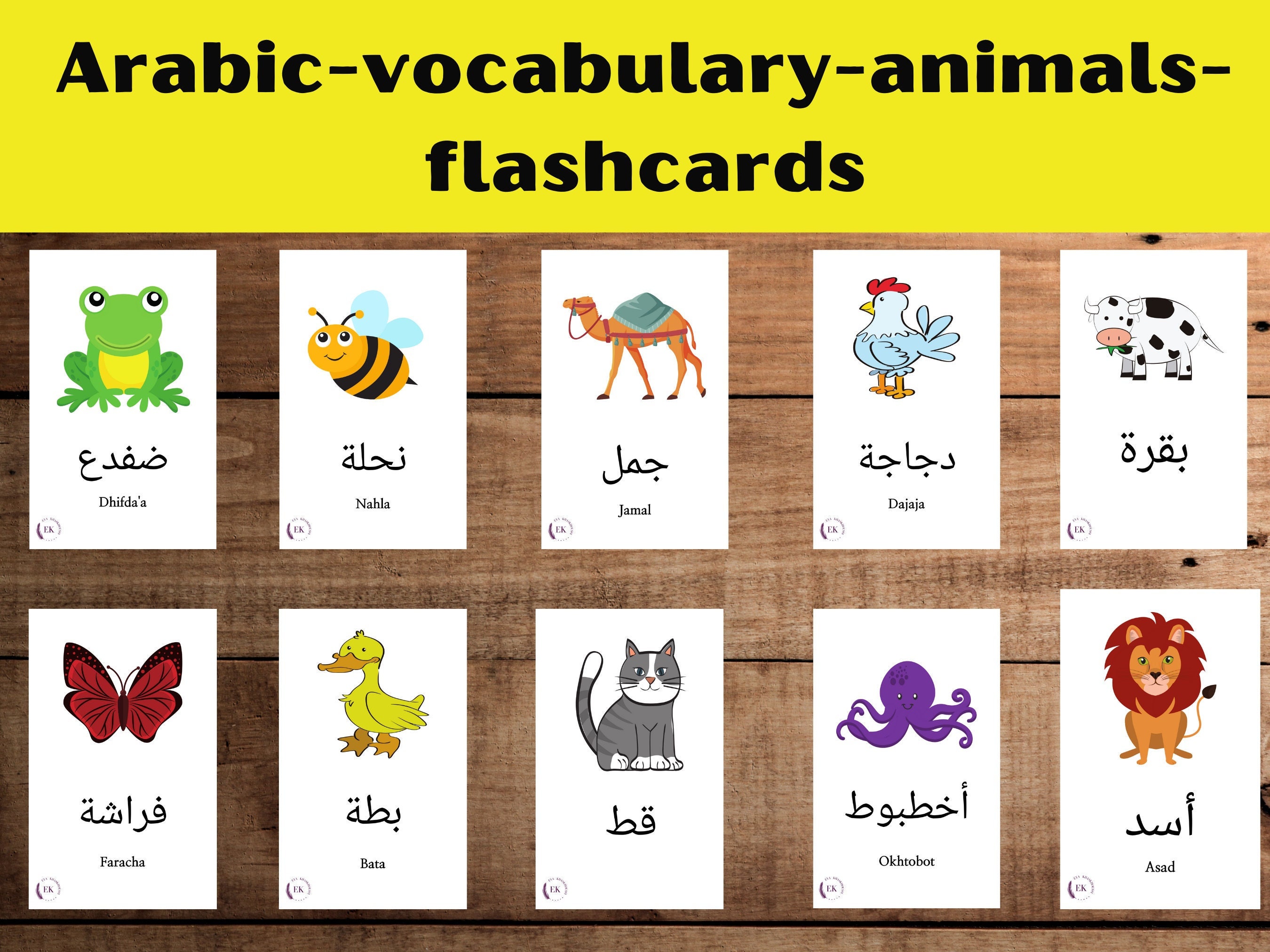 30 Arabic Vocabulary Animals Flashcards, Arabic Pronunciation, Arabic
