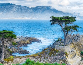 Lone Cypress Tree Wall Art, 17 Mile Drive Photo Print, California Nature Image, California Coast Wall Display, Cypress Tree Photo