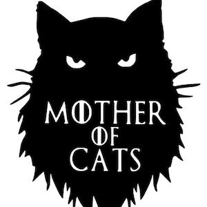 猫の母