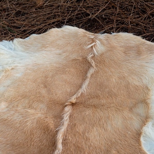 Natural Goat Hide - Useful Groud Mat, Camping and Bushcraft. Goat Fur, Sitting, Outdoors, Prepper, Equipment, Survival.