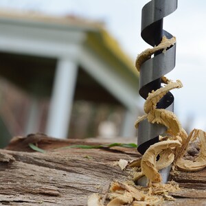 May include: A close-up of a drill bit with wood shavings wrapped around it. The drill bit is silver and black and is partially inserted into a piece of wood.