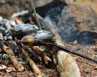 May include: A close-up of an eggplant being roasted over an open fire. The eggplant is charred and has a smoky flavor. The fire is surrounded by wood and ash.