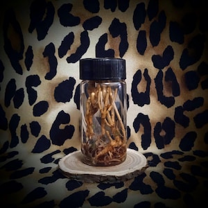 AWAKE Your Witch | Potion Oil | Magick Curio | WitchCraft Spell | Ritual Oil