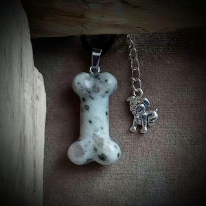 Heaven Hound | K-Nine Magick | Spirit Vessel | Pet Communication | Spirit Companion