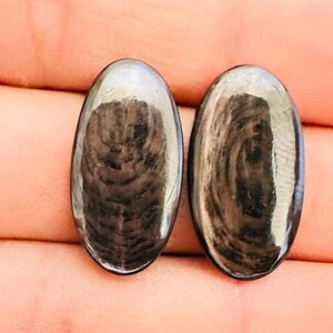 May include: Two oval-shaped, polished gemstones featuring a dark brown and black wood-grain pattern. The stones have a smooth, reflective surface with distinct concentric rings and linear striations visible within the dark, semi-translucent material.