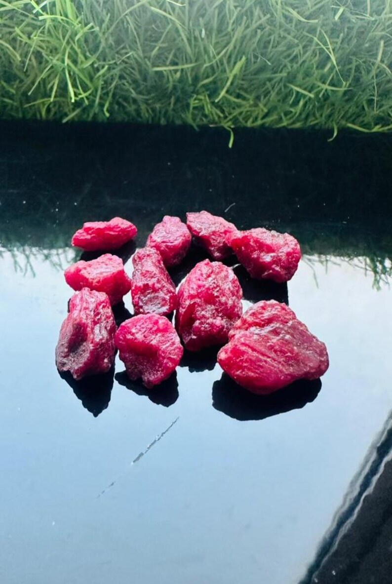May include: A selection of rough ruby gemstones, displaying a deep red hue. The uncut stones have a textured surface and are presented on a reflective black surface. Green grass is visible in the background, adding contrast.