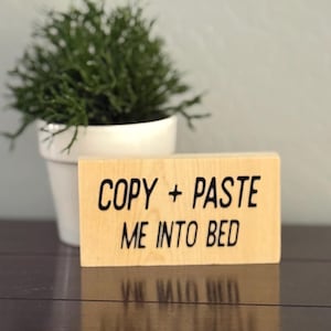 Copy + paste me into bed, funny office desk sign, office decor, office sarcastic humor, cubicle sign
