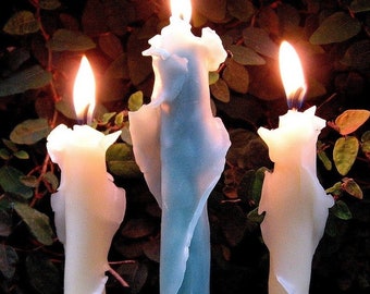 Set of 2 or 3 Beeswax Rose Taper Candles Unique Spiral Design 4 Sizes 9 Colors Decorative Tapers Elegant Home Decor Sculptural Candle Gifts