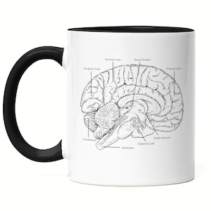 Brain Mug Black Nervous System Right Left Brain Memory Brain Nerves Brain Cells Logic Medicine Study