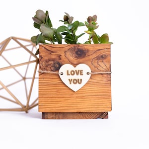 plant tags, decor, Plant theme decor, Funny plant sign, Birthday gift for friend, Funny gift for her, Valentine, indoor, personalized