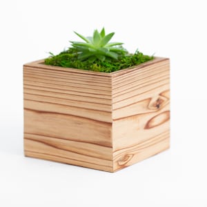 Planter, Modern wood cedar box, Indoor, square, succulent planter, custom sizes, wedding centrepieces, organizer, storage, with liner