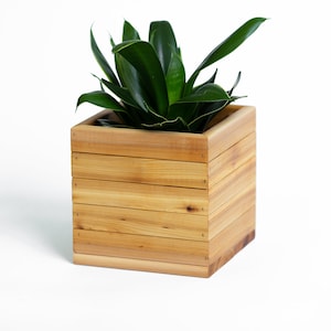 May include: A square wooden planter box with a green plant inside. The planter is made of light brown wood and has a natural finish.