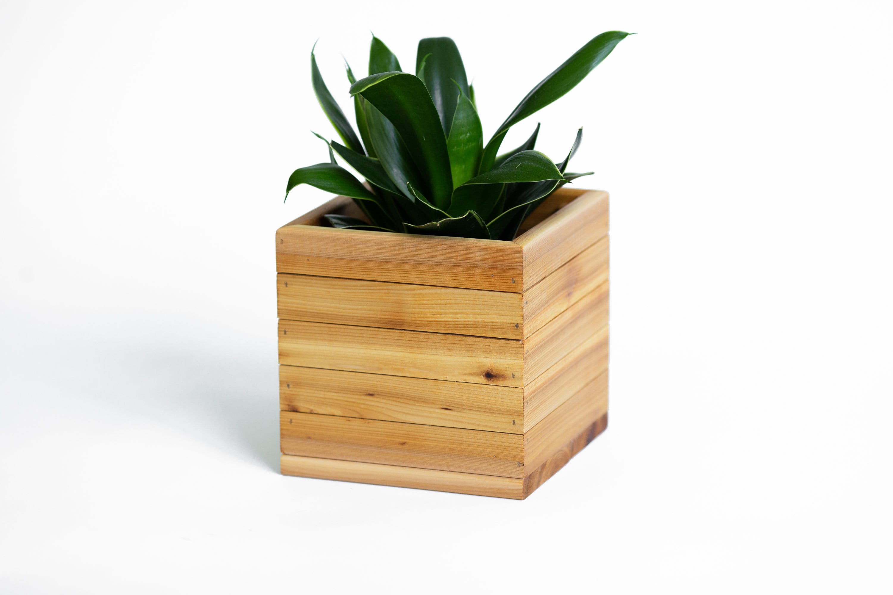 Summer Cedar, Planter Box, Wood Planter, Cedar, Outdoor, Indoor