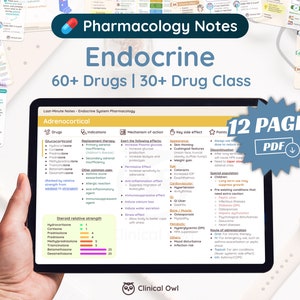 May include: A digital tablet displaying a blue and white infographic with the title "Endocrine" and the text "60+ Drugs | 30+ Drug Class". The infographic is about the Adrenocortical system and lists drugs, indications, mechanism of action, key side effects, points to remember, special populations, pre-existing conditions, and routes of administration. The tablet is being held by a hand. The image also includes a blue and white starburst with the text "12 PAGES PDF" in the upper right corner.