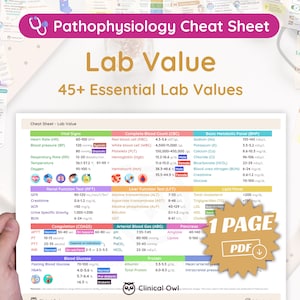Lab Value Cheat Sheet | Nursing, Medical, Pharmacy School | 1 Page