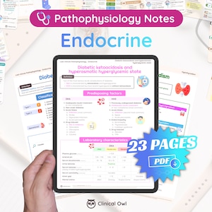 Könnte beinhalten: Ein digitales Tablet zeigt ein 23-seitiges PDF-Dokument mit dem Titel "Pathophysiologie-Notizen: Endokrinologie" mit einem Abschnitt über "Diabetisches Ketoazidose und hyperosmolares hyperglykämisches Syndrom". Das Dokument enthält eine Tabelle mit Labormerkmalen für diabetische Ketoazidose (DKA) und hyperosmolares hyperglykämisches Syndrom (HHS).