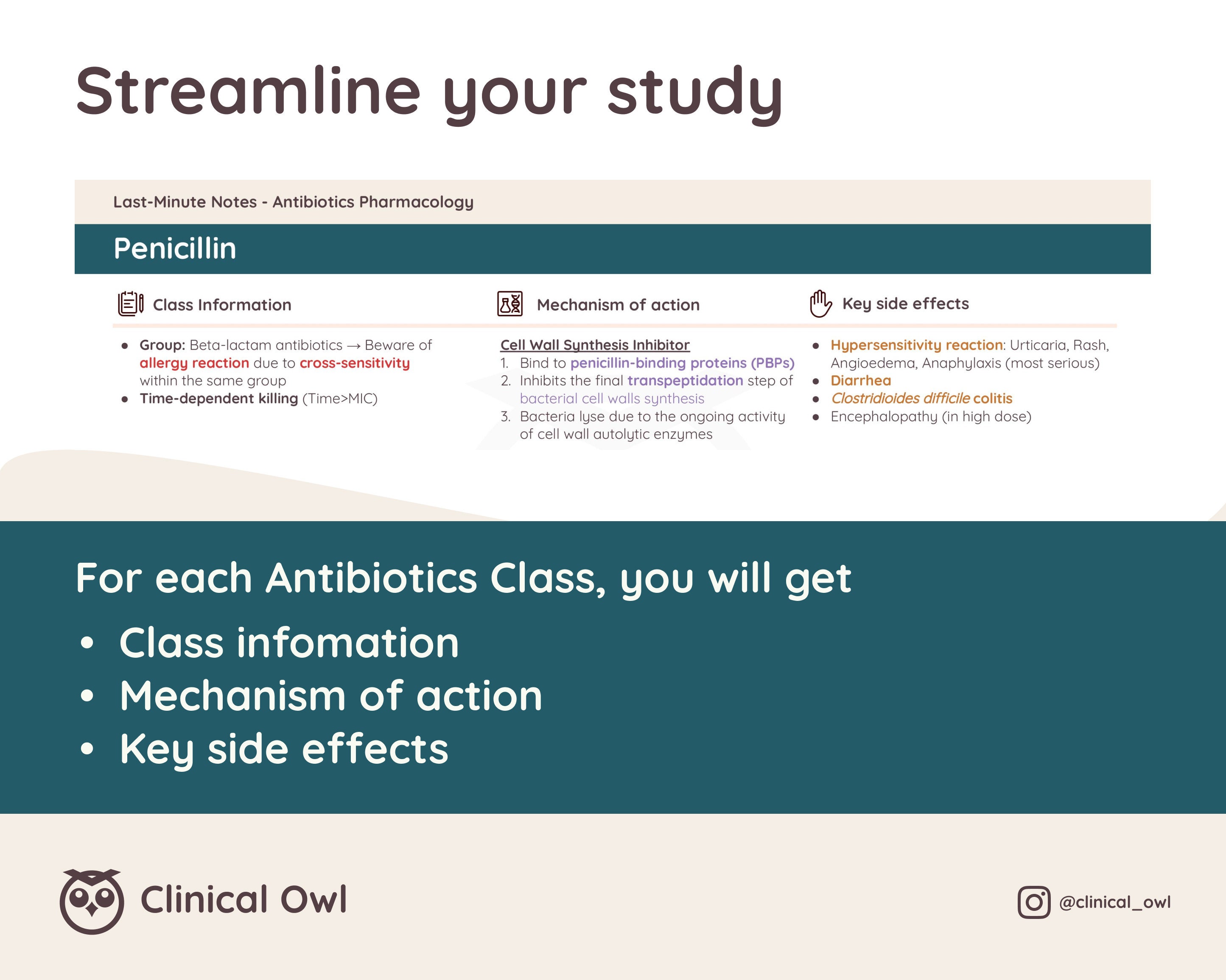 Antibiotics Pharmacology | Last Minute Study Notes | Nursing, Medical ...