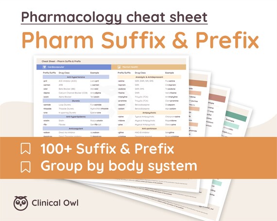 Pharm Suffix & Prefix Cheat Sheet 100 Most Common - Etsy