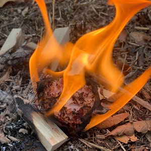 Fire starters
