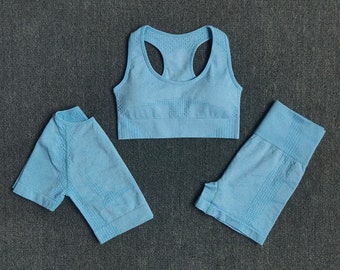Torrie - Women's Seamless Gym Set in Sky Blue (3 Pieces) Active Wear For Riding/Cycling/Running/Yoga