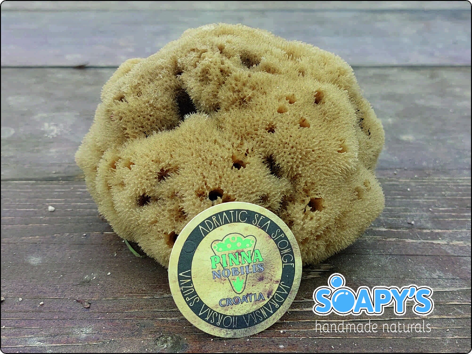 Rock Island Wool Sea Sponge