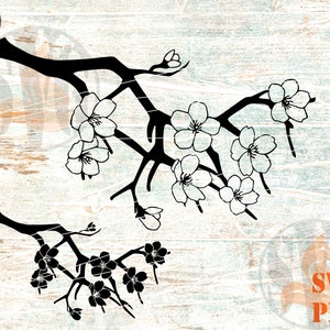 Rama de flor de cerezo SVG PNG Flores de cerezo dibujadas a mano Plantilla de corte de papel Paquete SVG Sakura Flor svg