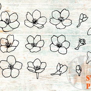 Kirschblüte SVG PNG Hand gezeichnete Kirschblumen Papierschnitt Vorlage Bundle SVG Sakura Blume svg