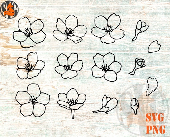 Cherry Blossom SVG PNG Hand Drawn Cherry Flowers Paper Cut - Etsy