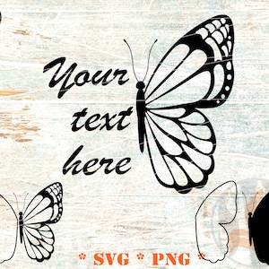 Halber Schmetterling SVG, Schmetterlings-Svg, geteilter Schmetterling-Silhouette-Svg, Schmetterlingsflügel-Svg-Dateien für Cricut, keine Schriftart enthalten
