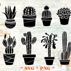 Paquete SVG de cactus, planta de casa svg, cactus en maceta, plantas suculentas archivos svg para cricut