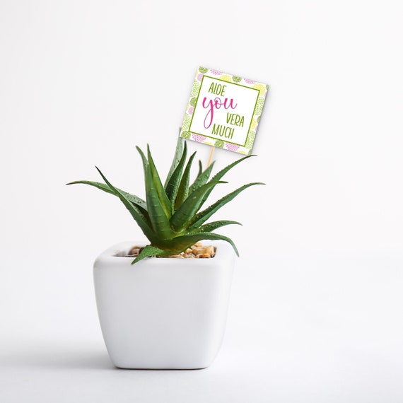Druckbare Karte, Aloe Vera Pflanzenstecker, lustige Geschenkidee, Geschenk  fr Pflanzenliebhaber, Geschenk fr Liebsten - Etsy.de