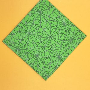 May include: A green square with a spiderweb pattern. The web is black and the background is a light green.
