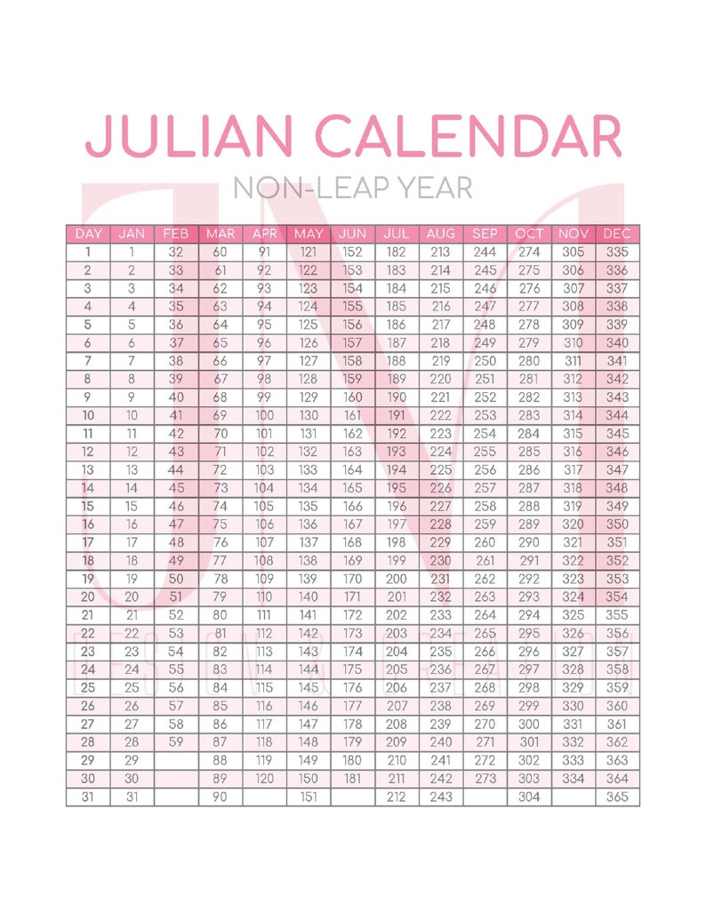 JULIAN DATE CALENDAR pink Leap Year Military Minimalist Etsy