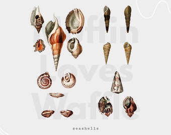 Sea Shells Watercolor Wall Decor Digital PDF Printable Ocean Beach Waves Shells