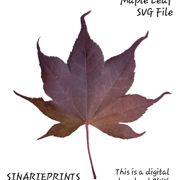 Maple Tree Leaf SVG File Digital Download Japanese Maple