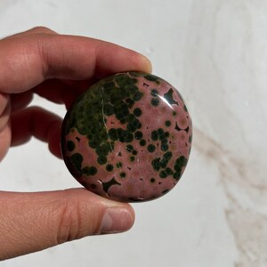 Kabamby Ocean Jasper Palm with Pink and green orbs