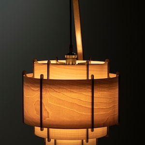 Wood floor lamp, Custom design lamp and lighting, Mid Century Modern floor lamp, Wood veneer lighting, Unique Character Lighting, handmade image 8