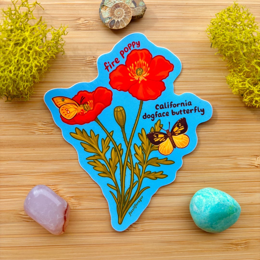 Fire Poppy & California Dogface Sticker / Insect Sticker / Entomologist ...