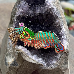 May include: A colorful enamel pin featuring a detailed design of a mantis shrimp. The pin showcases vibrant hues of green, teal, red, and gold, with intricate line work. The pin is set against a backdrop of a geode.
